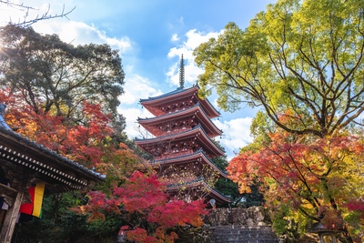 Chikurin-ji à Kochi | Guide du 31e temple Shikoku