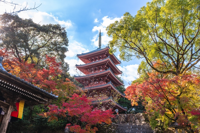 Chikurinji (Kōchi): guía completa del templo nº 31 de Shikoku