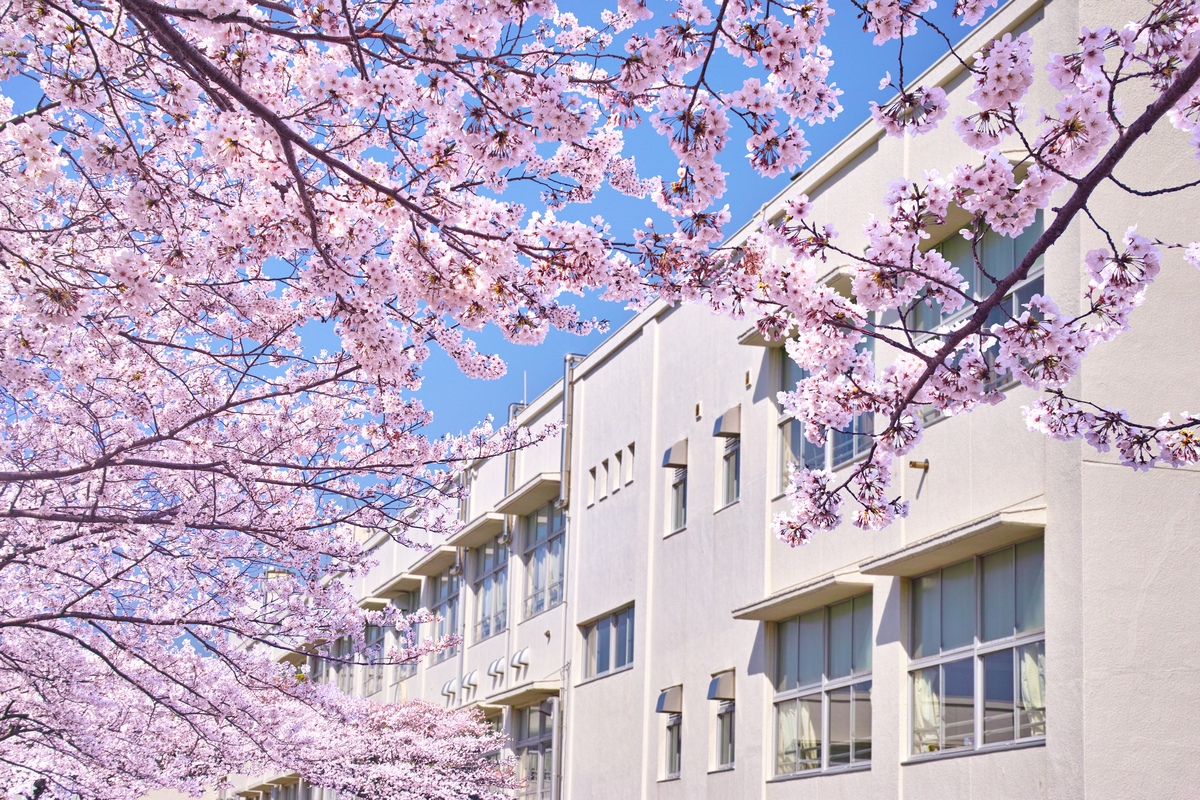 日本の卒業式の特徴は？知っておきたい文化と礼儀