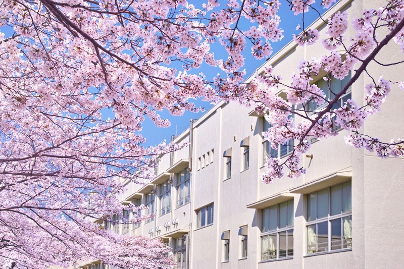 Japanese Graduation Ceremony: Culture and Etiquette Guide