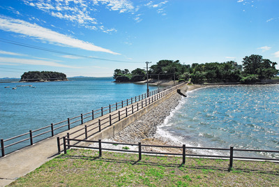 佐久島で楽しむアートと海辺の島歩き｜愛知・三河湾の離島を散策