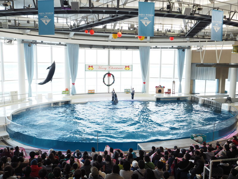 アクアワールド茨城県大洗水族館で海を学ぶ旅