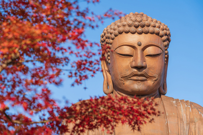 Shurakuen Daibutsu Tokai: Đại Phật bê tông cao 18,79m và cách đến