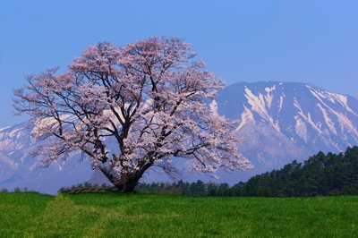岩手山（岩手）トレッキングと温泉を楽しむ雄大な名峰登山