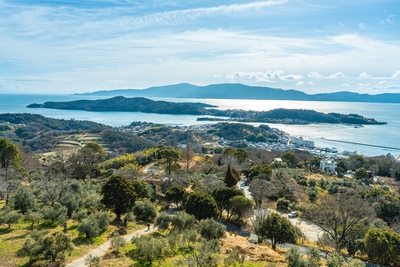 牛窓オリーブ園で楽しむ瀬戸内海と緑の絶景