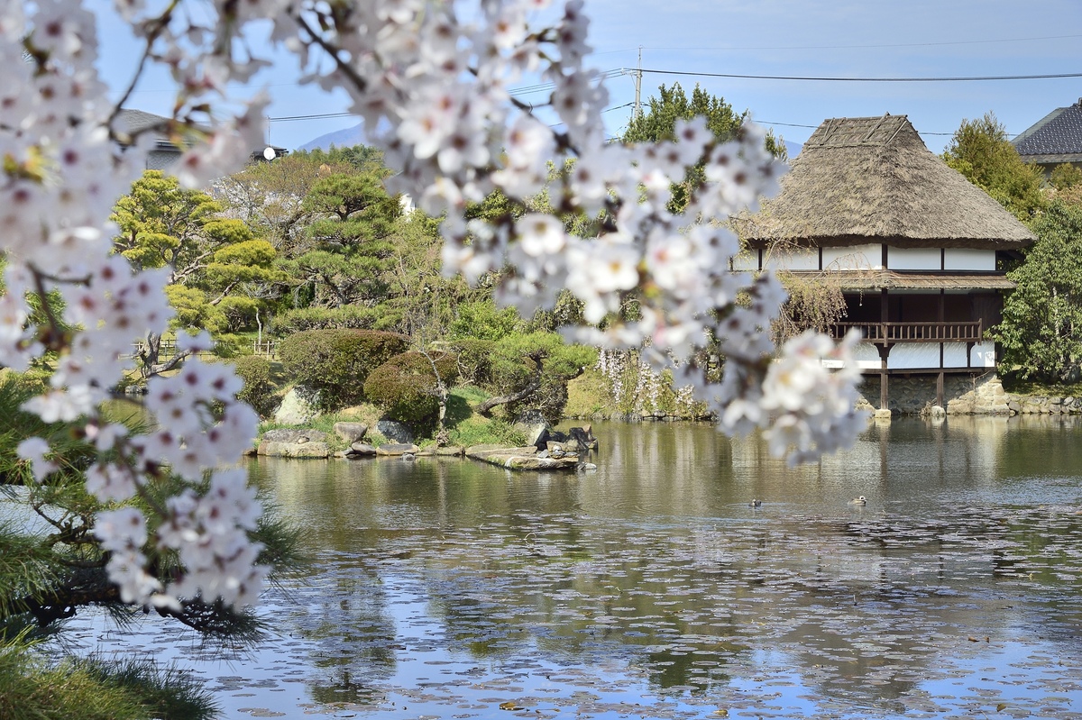 衆楽園で味わう津山の歴史ある大名庭園と静かな水辺