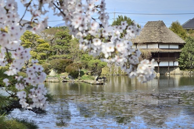 眾樂園｜津山歷史大名庭園與寧靜水邊必去