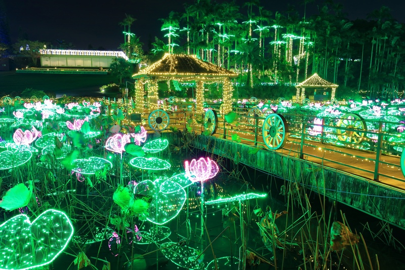 東南植物楽園で楽しむ沖縄の植物と動物ふれあい