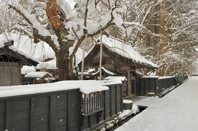 秋田・角館武家屋敷｜小京都で武士の暮らしと桜並木を歩く