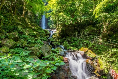 Parc de Yoro : guide de la cascade et de la nature