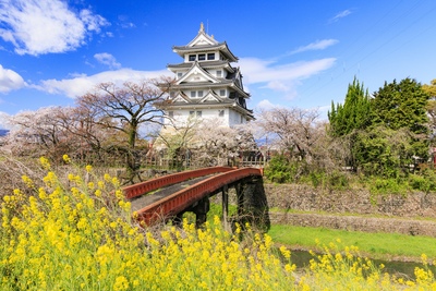 Château de Sunomata : guide de Hideyoshi et des sakura