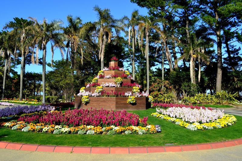 Jardín Botánico Aoshima: plantas tropicales en Miyazaki
