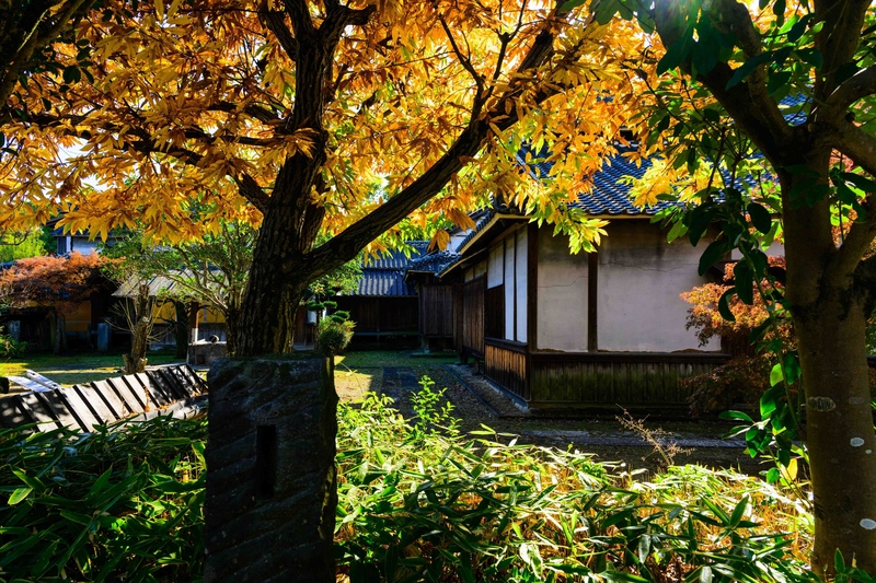 Kyu-Hosokawa Gyobu: Panduan Sejarah Kastil Kumamoto