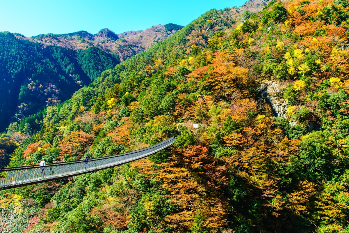 五家荘で出会う山里の紅葉と平家伝説をたどる旅