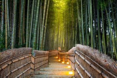 Kyoto 4-Day Itinerary | Top Sights Plus Hidden Gems