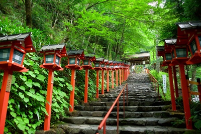Kyoto 5-Day Itinerary | Temples, Nature & Experiences