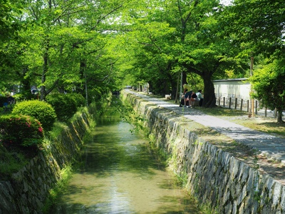 Kyoto Solo Travel Itinerary | Temples & Cafes at Your Pace