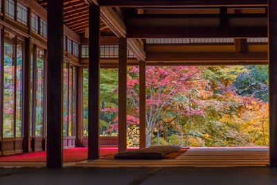 แพลนเดินชมสวนและสถาปัตยกรรมเกียวโต｜เที่ยวสวนสวยสไตล์ผู้ใหญ่ 1 วัน