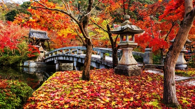 15 จุดถ่ายรูปสวยในเกียวโต | วัด ศาลเจ้า ทะเล และรถไฟ