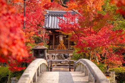 京都の紅葉名所おすすめ15選｜寺社と庭園で秋景色を歩く旅