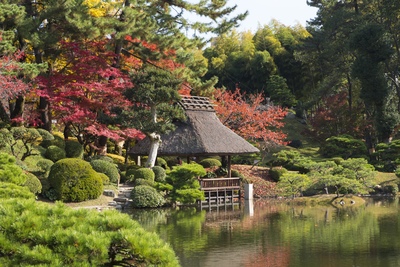 Vườn Shukkeien Hiroshima: hướng dẫn dạo vườn daimyo