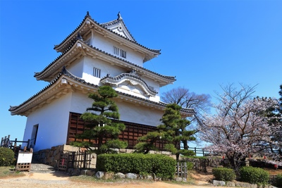 丸亀城で高石垣と現存十二天守を楽しむ香川・丸亀市の歴史散策入門ガイド