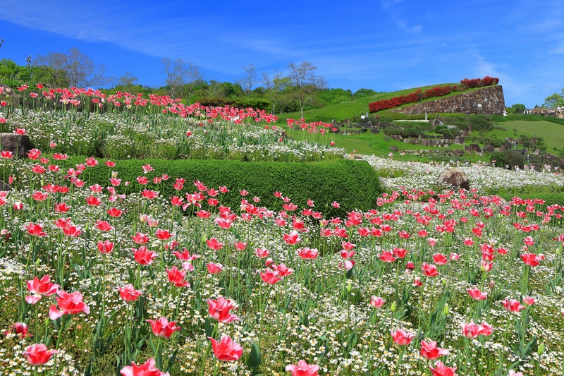 Guide du parc Sanuki Manno à Kagawa : fleurs et loisirs
