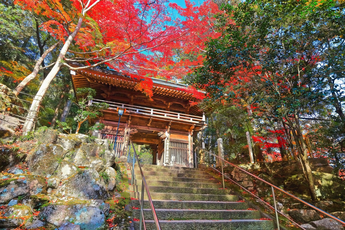 大窪寺で結願を感じる四国遍路と山あいの静かな参拝