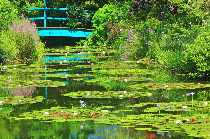 Kitagawa Monet's Garden Marmottan: Impressionist Stroll