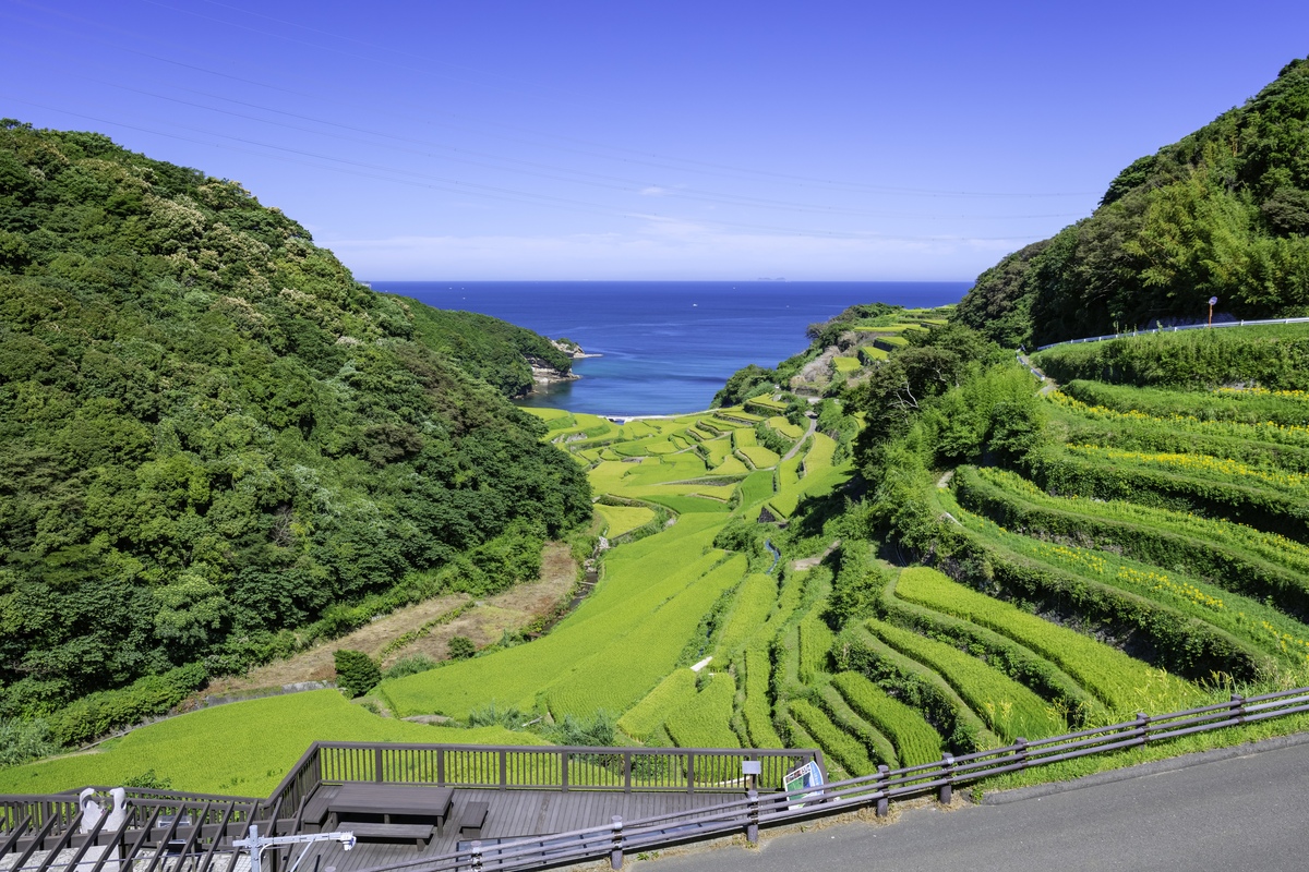 浜野 浦 の 棚田 展望 台
