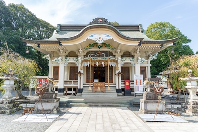 武雄神社で大楠に出会う、佐賀・武雄の静かな参拝旅行