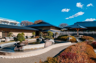 Musée du bonsaï d'Omiya (Saitama) : bonsaïs de saison et photo