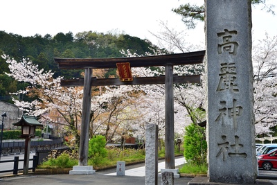 埼玉・高麗神社でたどる渡来人の歴史と静かな境内参拝
