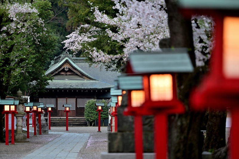 鷲宮神社で歴史とアニメ文化にふれる埼玉・久喜の初参拝ガイド