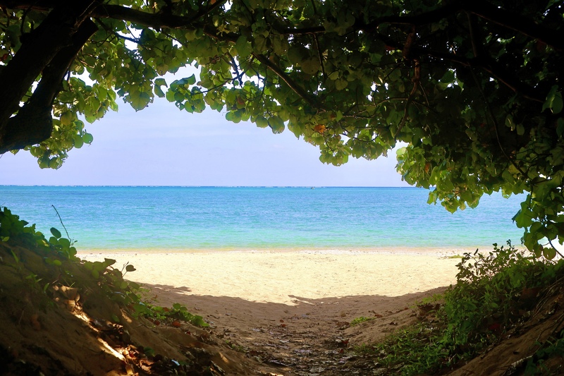 Hyakuna Beach Guide: Sea & Sacred Sites in Nanjo