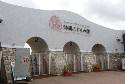 Okinawa Children's Land Guide: Zoo & Museum Tips