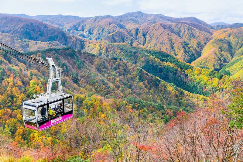 天元台高原観光｜山形・米沢の空中散歩と四季の山景色
