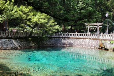 別府弁天池を観光｜青い湧水と別府厳島神社を静かに歩く