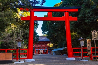 京都・下鴨神社観光ガイド｜世界遺産の見どころ・糺の森・アクセス