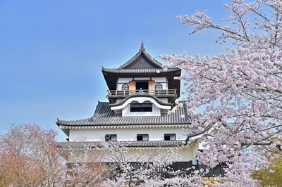 Rute Wisata Sehari Aichi: Kastil Nagoya, Kuil Atsuta & Osu