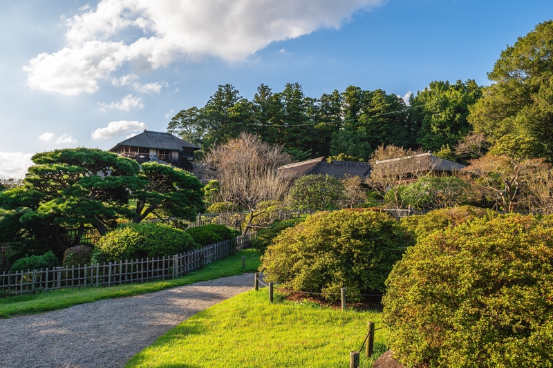 Mito en 1 día: jardín Kairakuen y barrio del castillo