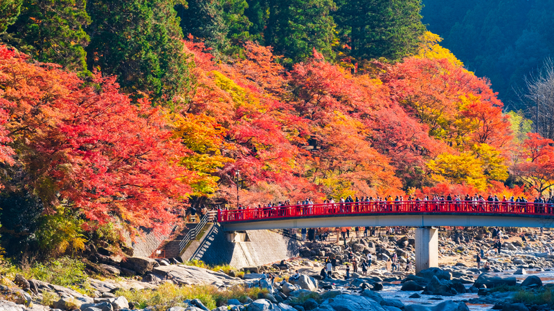 Aichi: 10 paisajes imprescindibles | Mar, islas y montañas