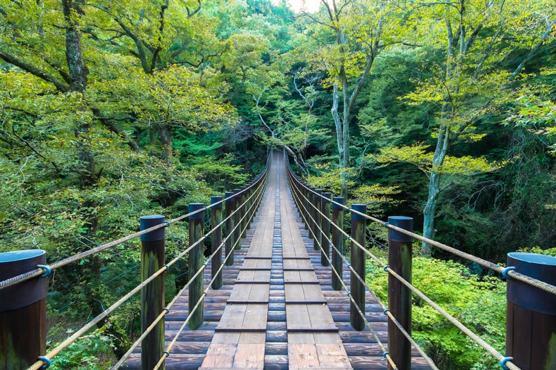 10 Cool Summer Spots in Ibaraki | Waterfalls, Sea & Forest