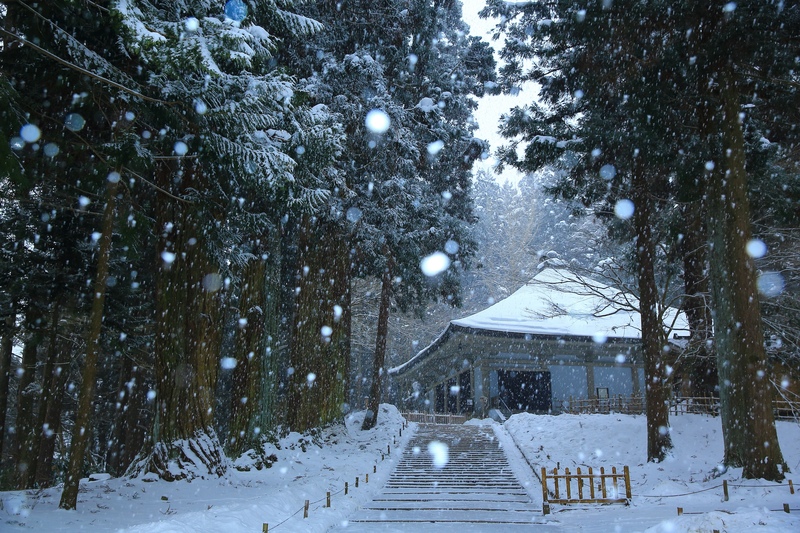 Iwate : 15 sites incontournables – Morioka, Hiraizumi, Sanriku