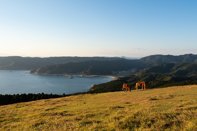 飫肥、都井岬攻略｜城下町與南國海景