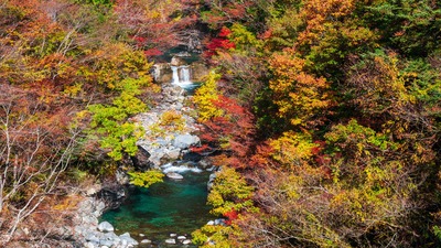 10 Wisata Musim Panas Gifu | Ngarai & Dataran Tinggi