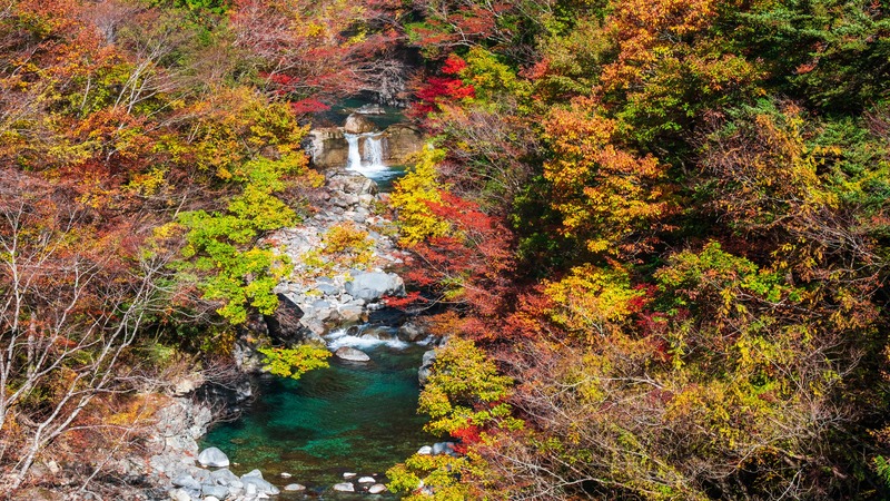 夏の岐阜観光おすすめ10選｜涼しい渓谷・高原・水辺をめぐる旅