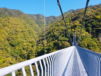 Naturaleza en Miyazaki: 10 gargantas, mesetas y bosques