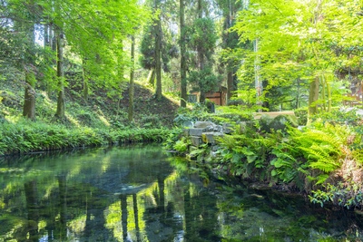 夏の熊本観光おすすめ10選｜阿蘇・天草と涼しい水辺を巡る