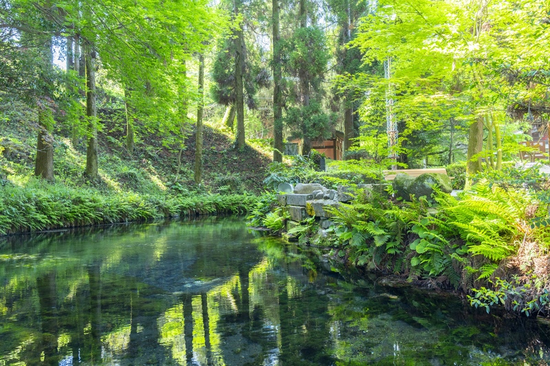 夏の熊本観光おすすめ10選｜阿蘇・天草と涼しい水辺を巡る